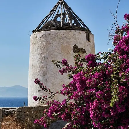 Bo By Monocle Mykonos Town